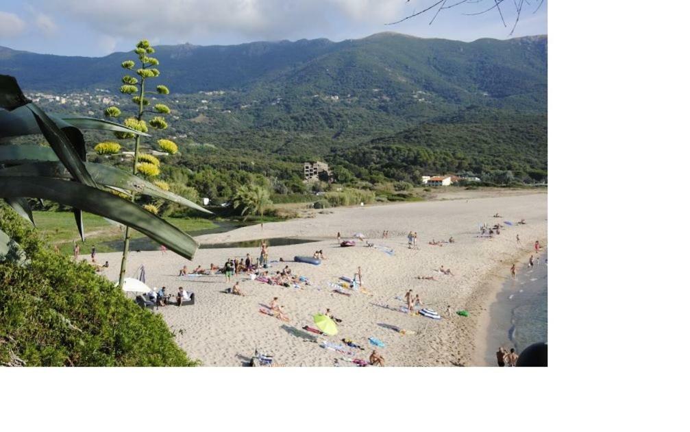 Residence U Melu Grand T3 Jaune A L'Etage Tiuccia Exteriér fotografie